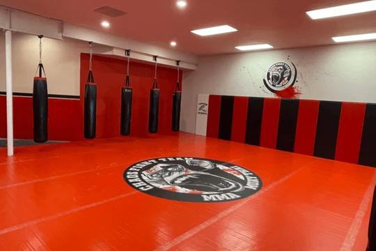 Image 3 from Chaos Fight Team partner gallery