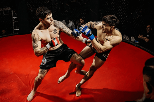 Image 1 from Chaos Fight Team partner gallery