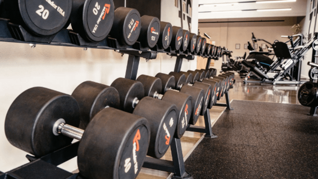 Bild 1 von Zenngrund Fitness Partnergalerie