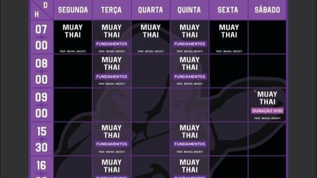 Imagem 3 da galeria do parceiro Incerti Escola de Muay Thai