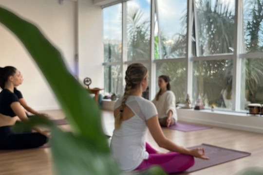Imagem 1 da galeria do parceiro Aulas de Yoga Pedra Branca - Mahadêva Studio Yoga