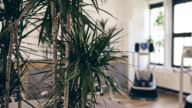 Bild 2 von Bewegungsstätte Mitte - Physio / Fitness Partnergalerie