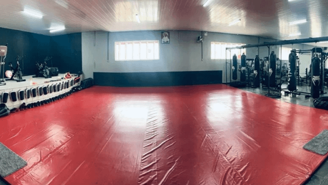 Imagem 1 da galeria do parceiro MFC academia de lutas