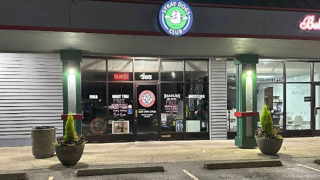 Image 2 from Stray Dogs Club partner gallery