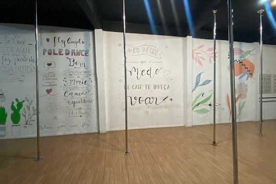 Imagem 1 da galeria do parceiro Fly Angels