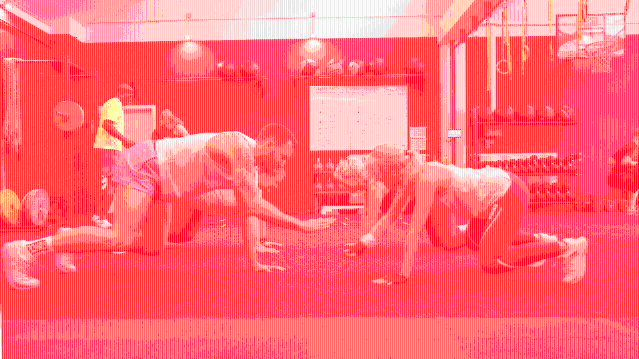 Bild 3 von athletik klub Partnergalerie