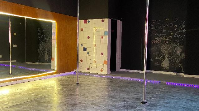 Imagem 1 da galeria do parceiro Studio Pole L