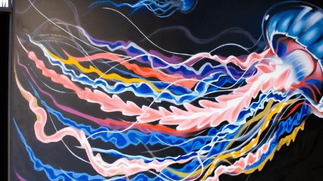 Imagen 1 de la galería del partner Commando - Roma Sur