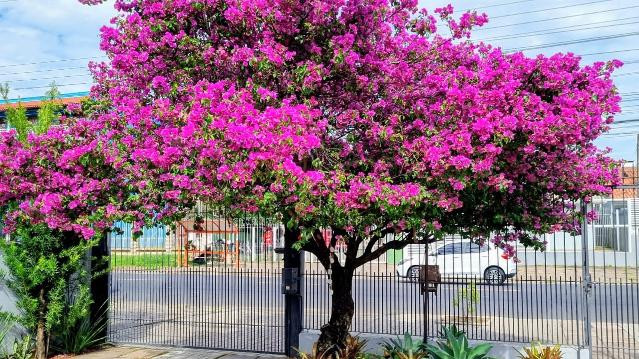 Imagem 2 da galeria do parceiro Yoga Studio Flow - Canoas