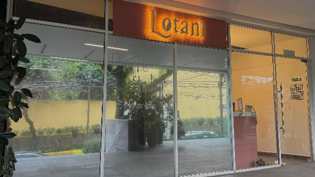 Imagen 2 de la galería del partner Lotani Studio