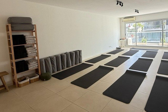 Imagen 1 de la galería del partner Be Pulse - Yoga