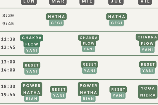 Imagen 3 de la galería del partner Be Pulse - Yoga