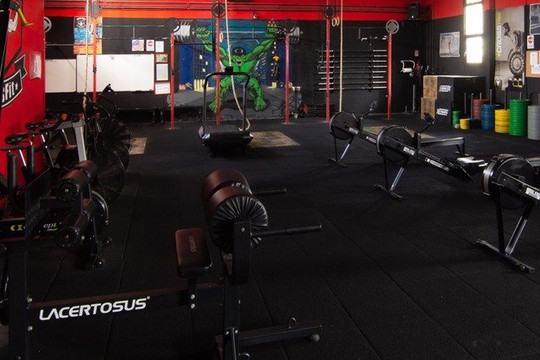 Immagine 1 dalla galleria del partner MUSCLE STREET GYM