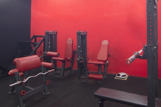 Immagine 3 dalla galleria del partner MUSCLE STREET GYM