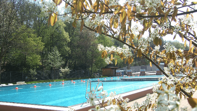 Bild 3 von Freizeitbad Olpe Partnergalerie