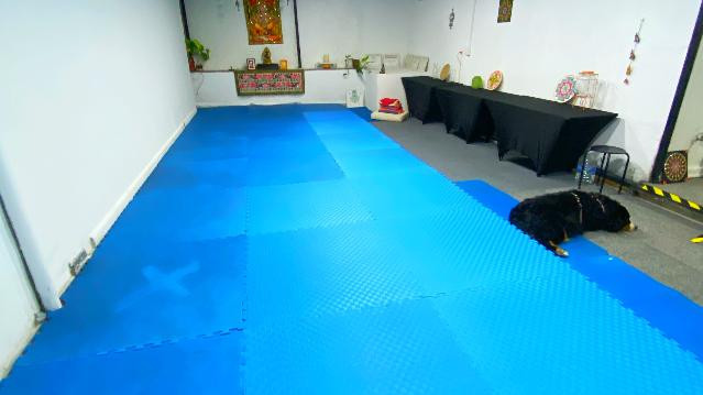 Imagen 3 de la galería del partner Centro de Yoga integral Nilakanta