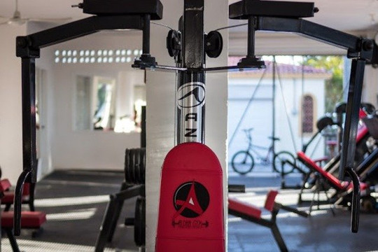 Imagen 1 de la galería del partner Alpha Gym Chetumal