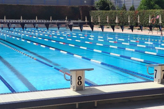 Immagine 2 dalla galleria del partner Borgaro - Rari Nantes