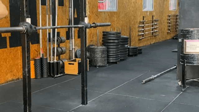 Imagem 3 da galeria do parceiro Orange Snakes - Butantã