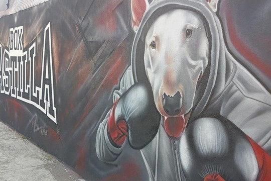 Imagen 2 de la galería del partner Box Castilla "Abel Hernández"