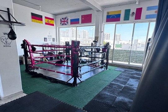 Imagen 1 de la galería del partner MG BOX QRO