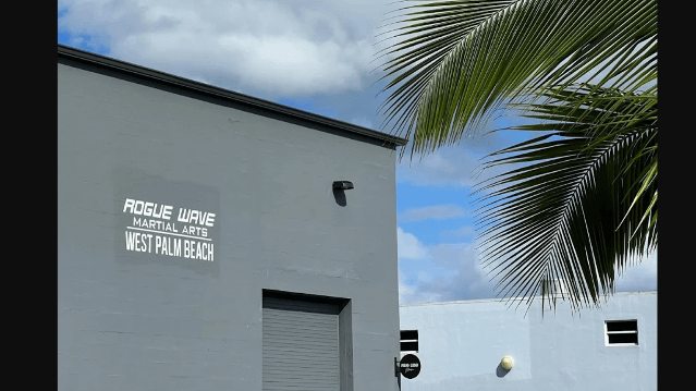 Image 2 from Rogue Wave Martial Arts partner gallery