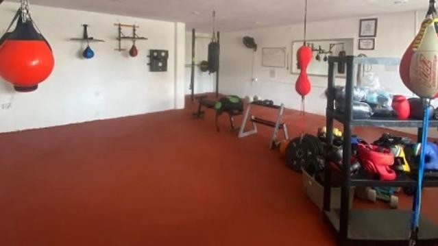 Imagen 3 de la galería del partner Box Black Apes