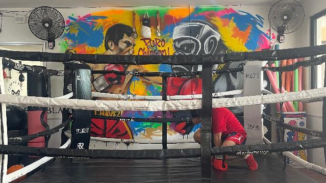 Imagen 2 de la galería del partner Box Black Apes