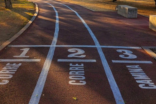 Imagen 2 de la galería del partner CLUB DE ATLETISMO TORTUGOS.