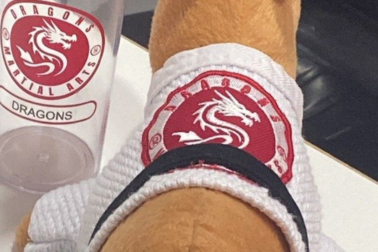 Imagem 3 da galeria do parceiro Dragons Martial Arts