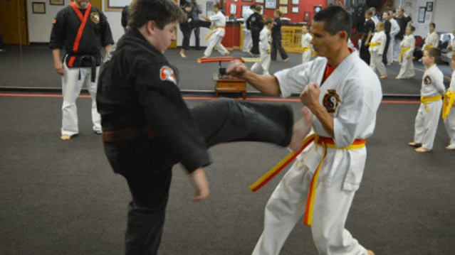 Image 1 from Steiner Academy Of Martial Arts partner gallery