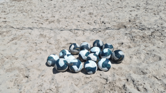 Imagem 3 da galeria do parceiro Escola Nitvôlei Mania