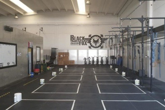 Immagine 2 dalla galleria del partner CrossFit Black Fox