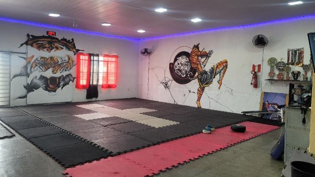 Imagem 3 da galeria do parceiro Academia Fight Tiger Team