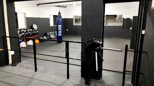 Imagem 1 da galeria do parceiro Estúdio Diamond Dogs