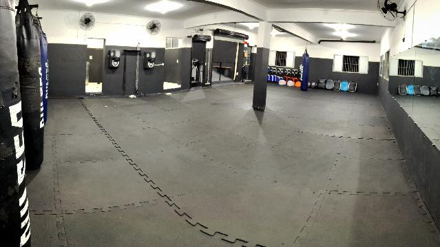 Imagem 3 da galeria do parceiro Estúdio Diamond Dogs