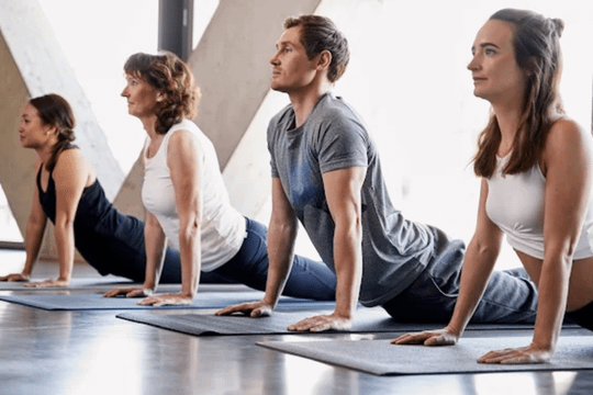 Bild 2 von Sarah Mönig Yoga & Pilates Partnergalerie