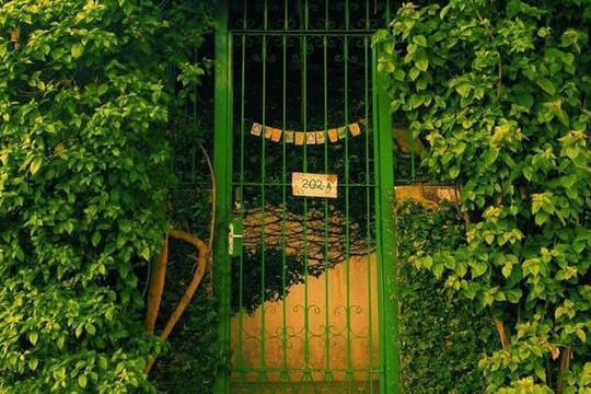 Imagem 2 da galeria do parceiro Gi Yogini