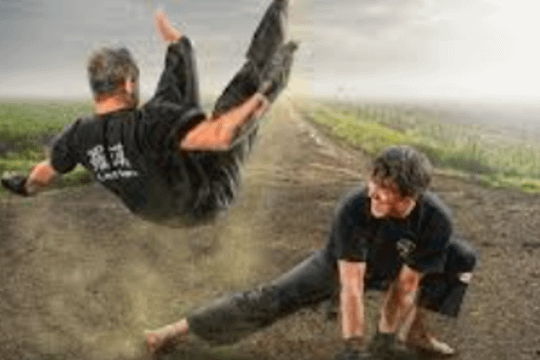 Image 1 from Integrated Island Warrior Arts partner gallery