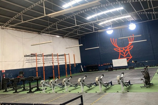 Imagen 2 de la galería del partner Cervus Fitness