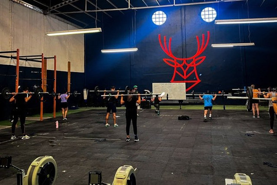 Imagen 1 de la galería del partner Cervus Fitness