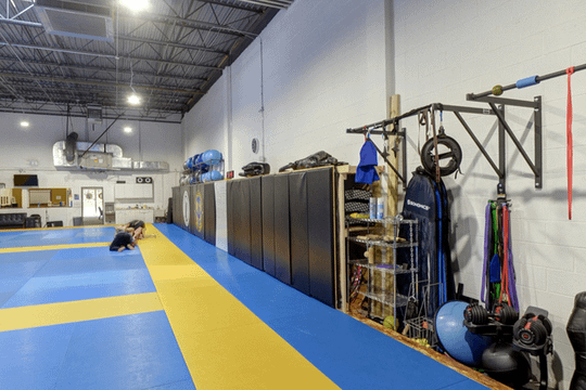 Image 1 from Double Phoenix Jiu Jitsu partner gallery