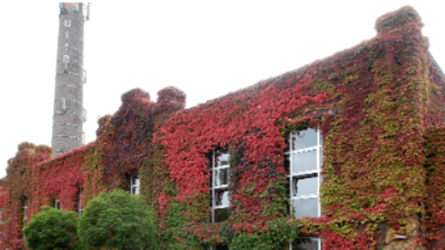 Bild 1 von The Sapphire Gym Partnergalerie