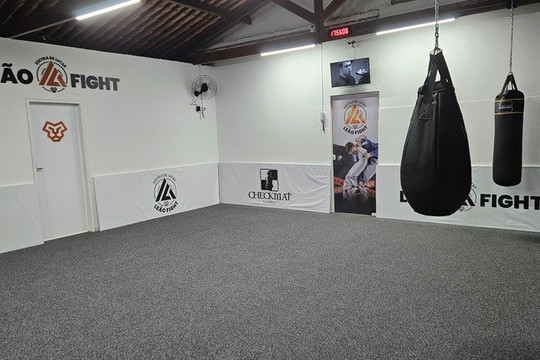 Imagem 3 da galeria do parceiro Leão Fight
