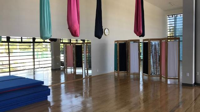 Imagen 2 de la galería del partner Danza Aerea - Concordia