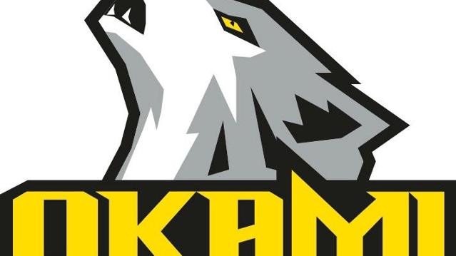 Imagen 3 de la galería del partner Club Deportivo Okami