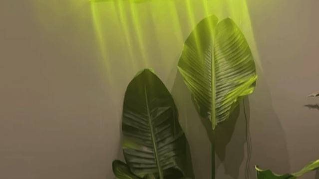 Bild 3 von Momax Pilates Implerstr. Partnergalerie