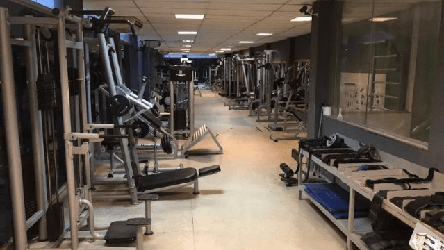 Imagem 1 da galeria do parceiro P3 Trainer