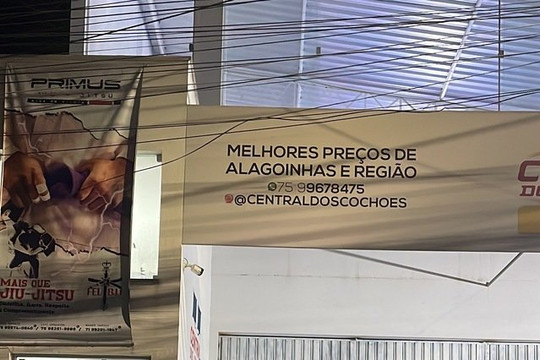 Imagem 2 da galeria do parceiro Primus Jiu-Jitsu