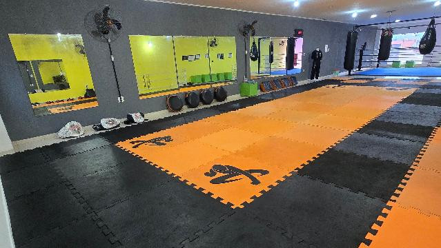 Imagem 1 da galeria do parceiro Tiger Thai Brasil